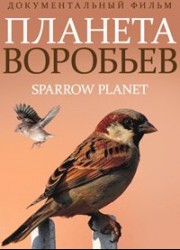 Планета воробьев