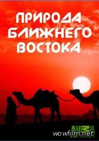 Природа Ближнего Востока