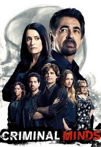 Мыслить как преступник / Criminal Minds 12 сезон (1-8, 9, 10, 11, 12 серия)